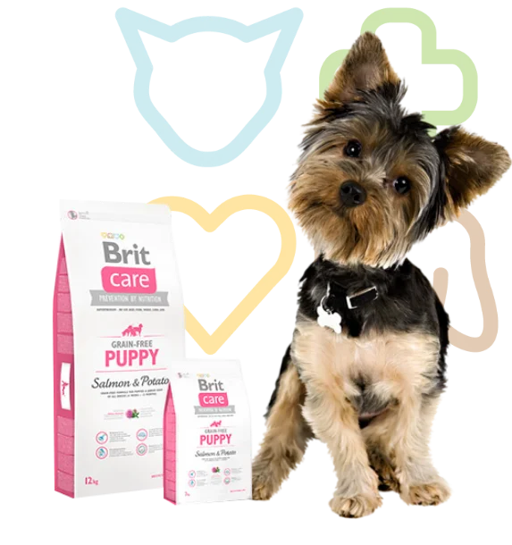 Cachorros | Brit